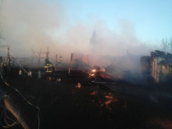 Более 200 животных погибли в крупном пожаре на ферме в Башкирии
