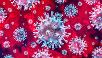 Количество зараженных коронавирусом выросло вдвое - 38. Подробности
