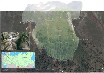 Ученые рассказали об «отступлении» алтайского леса в горы из-за глобального потепления