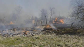 В Белоруссии мужчина поджигал сухую траву и спалил родную деревню
