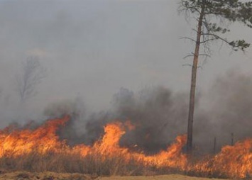 В трех районах Приамурья введен противопожарный режим