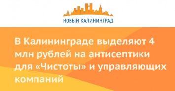 В Калининграде выделяют 4 млн рублей на антисептики для «Чистоты» и управляющих компаний
