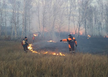 Природный пожар удалось остановить в нескольких километрах от амурской Новинки