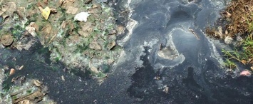Территорию размером в 90 футбольных полей загрязнили в Калужской области