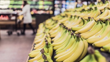 В России может начаться дефицит бананов