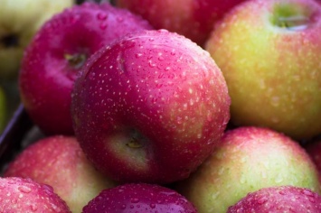 Названы 5 причин, почему яблоки необходимо есть каждый день