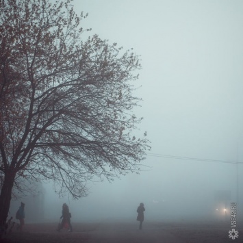 Туман на дороге привел к смертельному ДТП в Башкирии