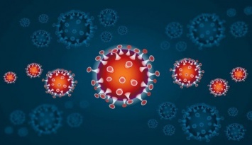 В России коронавирус не выявлен только в трех регионах