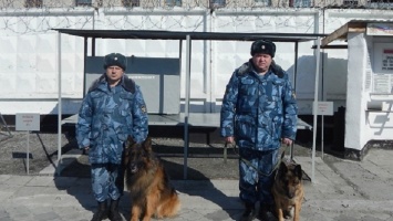 В Алтайском крае сотрудники тюрьмы обнаружили 48 свертков с наркотиками