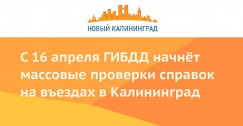 С 16 апреля ГИБДД начнет массовые проверки справок на въездах в Калининград
