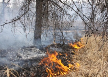 С помощью квадрокоптеров в Приамурье начали отслеживать пожары