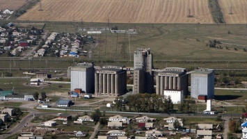 Алтайские хлебоприемные предприятия приняли участие в зерновых торгах