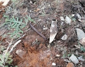 В Каменном бору в Петрозаводске найдены человеческие кости