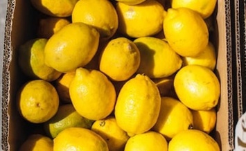 ФАС проведет проверку из-за подорожания лимонов на 500%