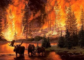В Приамурье зарегистрировано 11 природных пожаров
