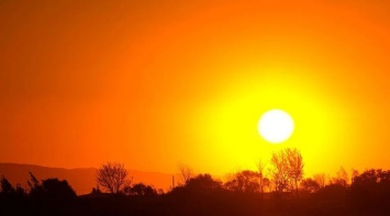 Американские ученые предрекли глобальную угрозу из-за аномальной жары в 2020 году