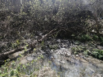 В Белгороде из-за аварии на «Водоканале» отходы разлились по лесу