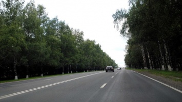 Можно ли в период карантина добраться на машине из Белгорода в Воронеж