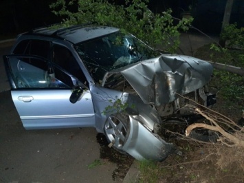 Водитель легковушки "исчез" после столкновения с деревом на скорости в ЕАО