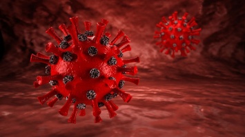 "Синтез вирусов": ученые из США назвали причину заразности коронавируса