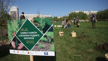 В память о земляках: 75 елей и сосенок высадили в Барнауле