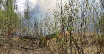 С начала мая в Нижнем Тагиле и ГГО произошло 39 пожаров сухой травы