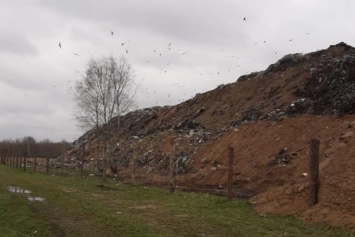 Россельхознадзор: свалка в Ельняках разрослась за границы отведенного участка