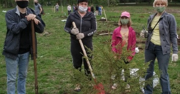 В Екатеринбурге активисты высадили в парке УрГУПС деревья взамен вырубленных