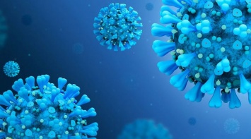 Эстонские ученые выявили уникальные мутации коронавируса