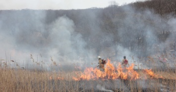 МЧС предупреждает о сохранении угрозы пожаров в лесах в окрестностях Нижнего Тагила