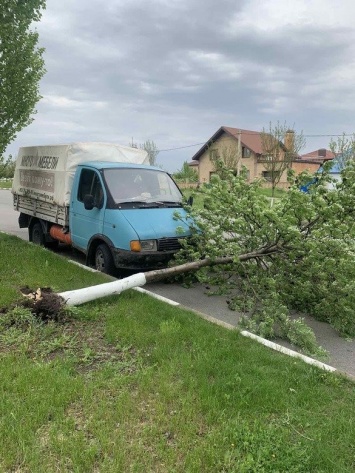 В Белгородской области ураганный ветер повалил деревья