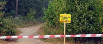 До 31 мая: в Крыму еще раз продлили запрет на посещение лесов