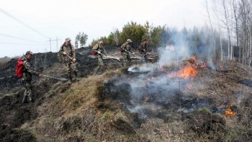 На Алтае до 17 мая сохранится высокий класс пожарной опасности