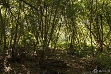 Житель ХМАО ушел спать в лес после двойного убийства в общежитии