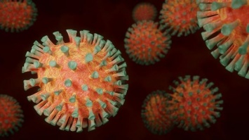 Более 500 человек заразились коронавирусом за сутки в Красноярском крае