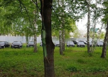 Обнаруженные в лесу под Челябинском машины отправят на борьбу с COVID-19