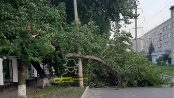 Последствия штормового ветра устраняют в Барнауле