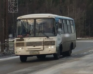 Автобусы Петрозаводска возобновляют работу с 28 мая