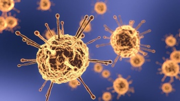 Эксперт рассказал, что коронавирус в России «выдохся» и «отвалился»