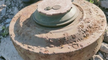 Житель алтайского села нашел противотанковую мину