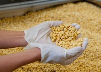 Амурские аграрии получат льготы на перевозку зерна и удобрений