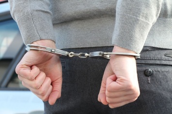 Полиция задержала подозреваемого в изнасиловании школьницы австрийца в Москве