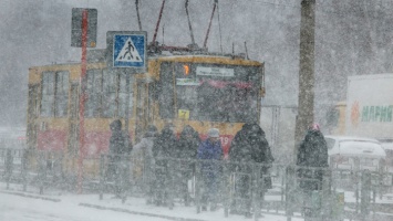 Как Барнаул встречает первый снегопад. Фотопрогулка
