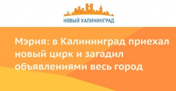 Мэрия: в Калининград приехал новый цирк и загадил объявлениями весь город