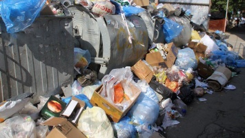В январе в Саратове будет утвержден тариф на сортировку мусора