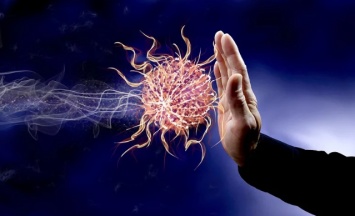 Секрет долгожителей скрыт в иммунной системе, заявили ученые
