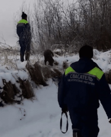 В Югре спасатели и волонтеры ищут мужчину, который ушел из дома и не вернулся