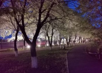 В парке Дружбы испытали систему подсветки