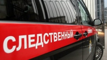 В Ханты-Мансийске пьяный мужчина сбил полицейского, а его коллегу ударил затылком в голову