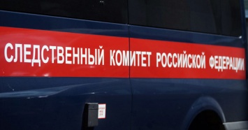 В Екатеринбурге СКР начал проверку из-за смерти студентки медколледжа